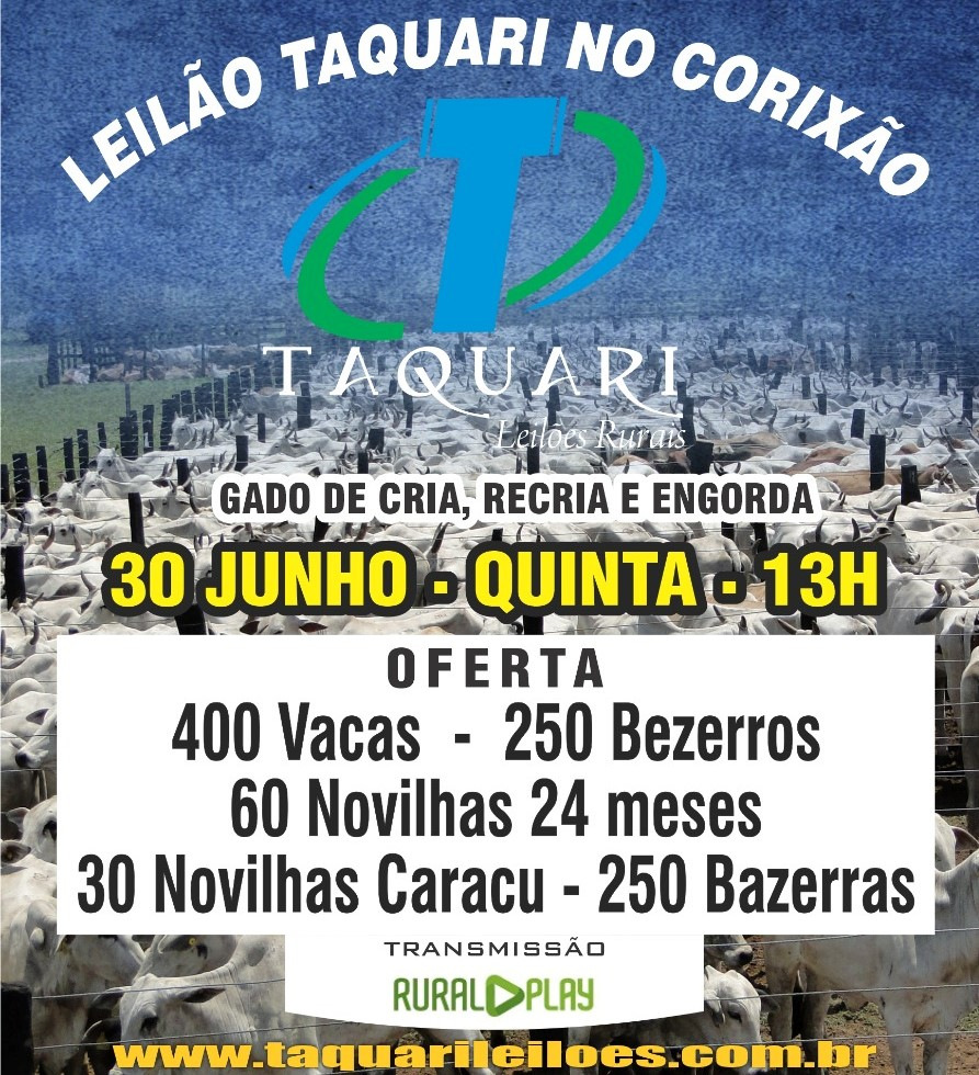 132º LEILÃO TAQUARI CORIXAO