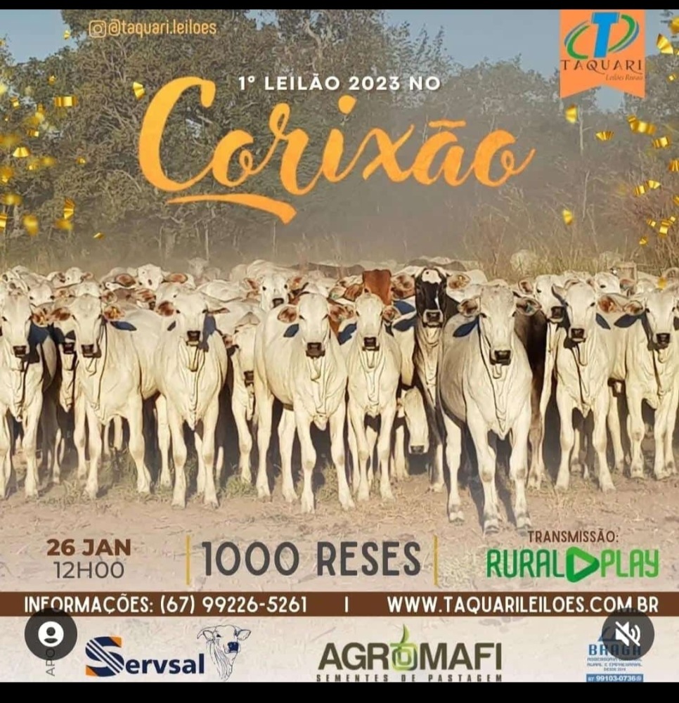 137º LEILÃO TAQUARI CORIXÃO